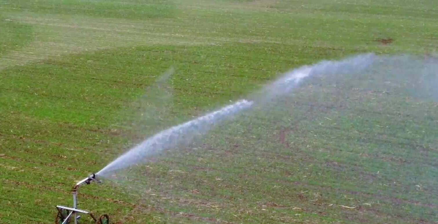 枣庄初冬田野小麦冬灌忙