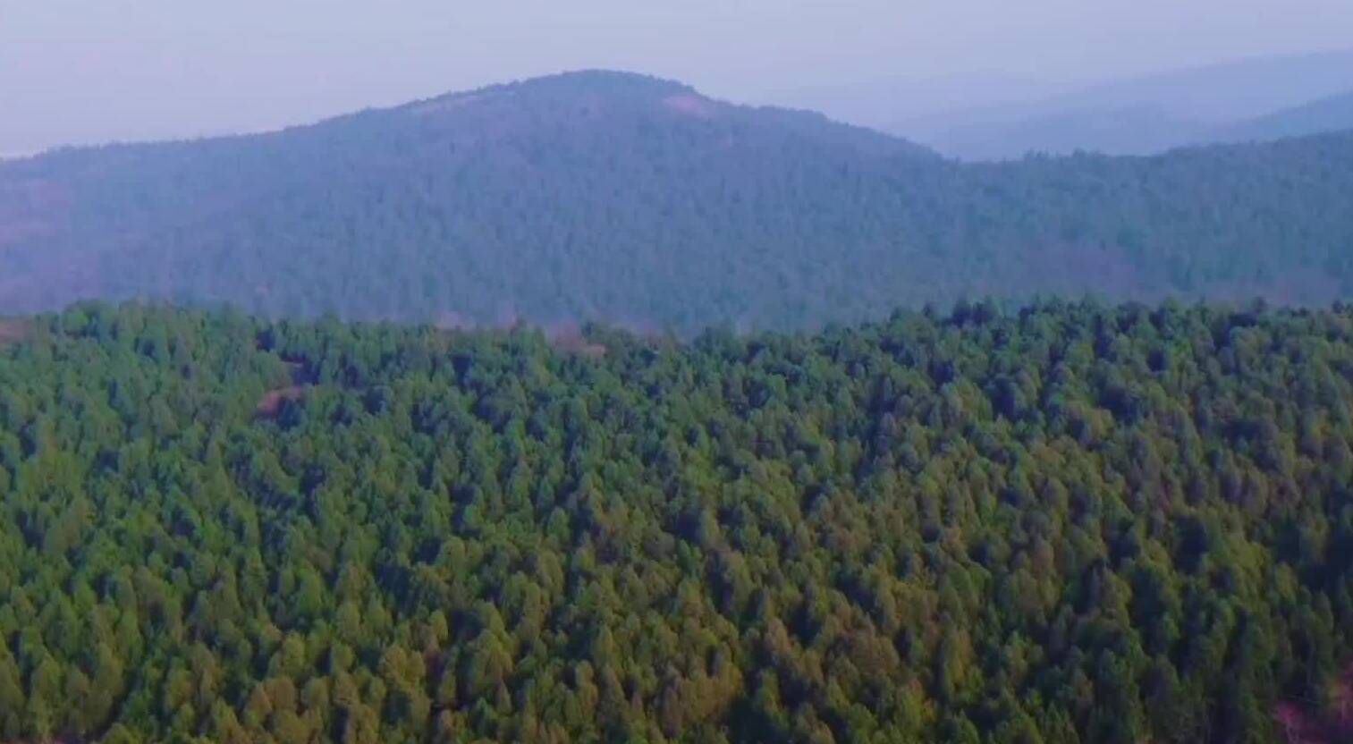 枣庄凤凰绿道群山作屏“长龙”盘绕绘就冬日盛景