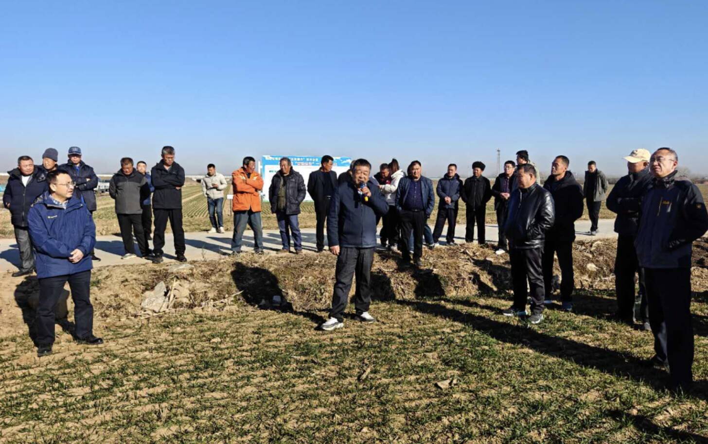 青岛“三秋”生产基本结束，田间管理正有序展开