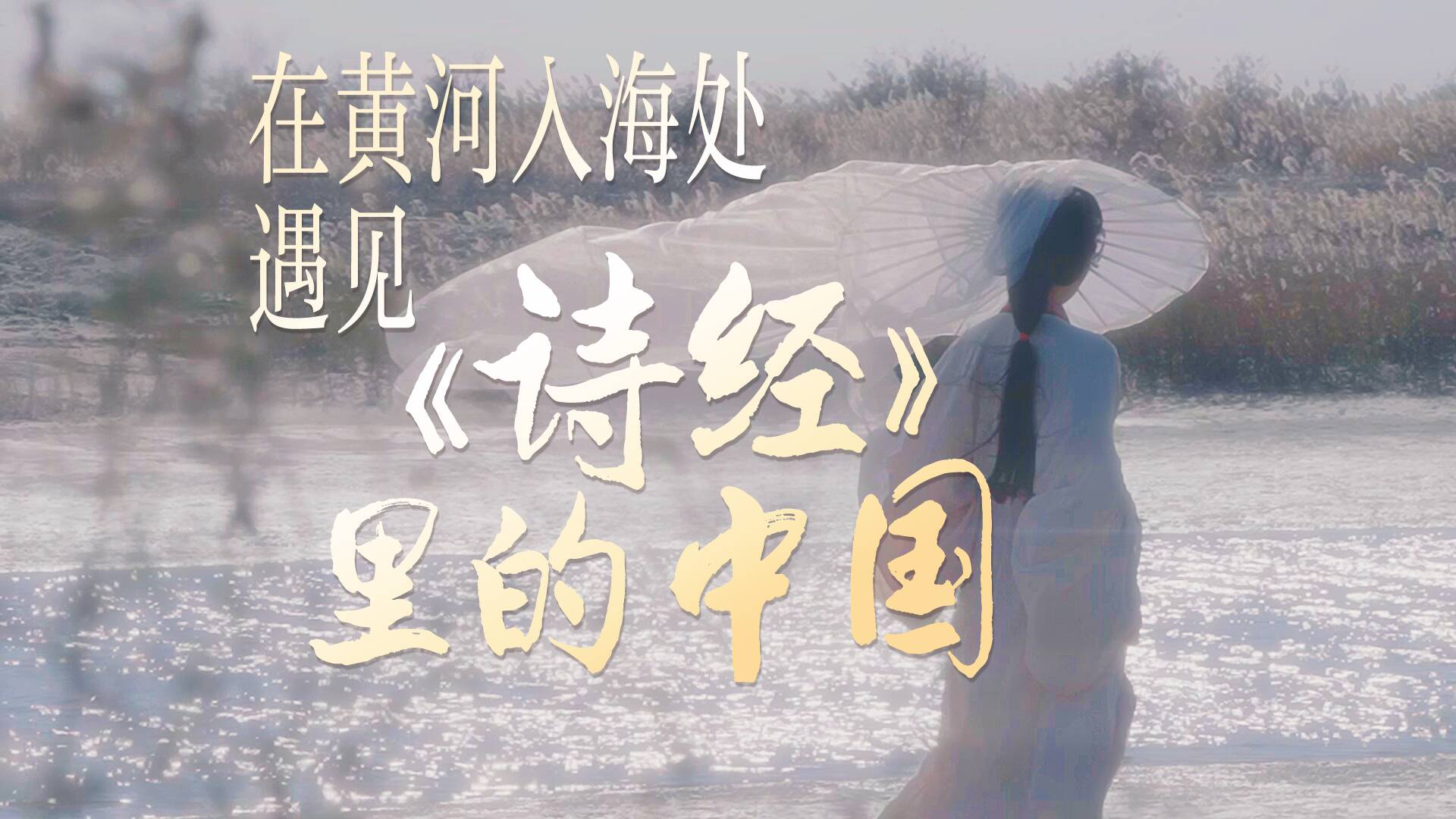 在黄河入海处 遇见《诗经》里的中国