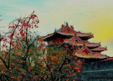 组图丨赴一场岱庙晨曦 触摸岁月里的诗意