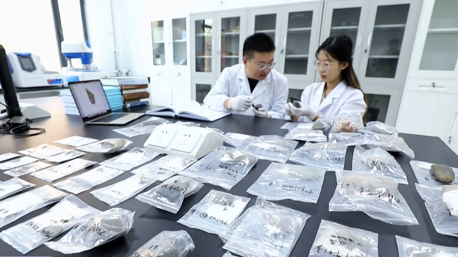 联播关键词｜山东发现距今9000年前小豆遗存