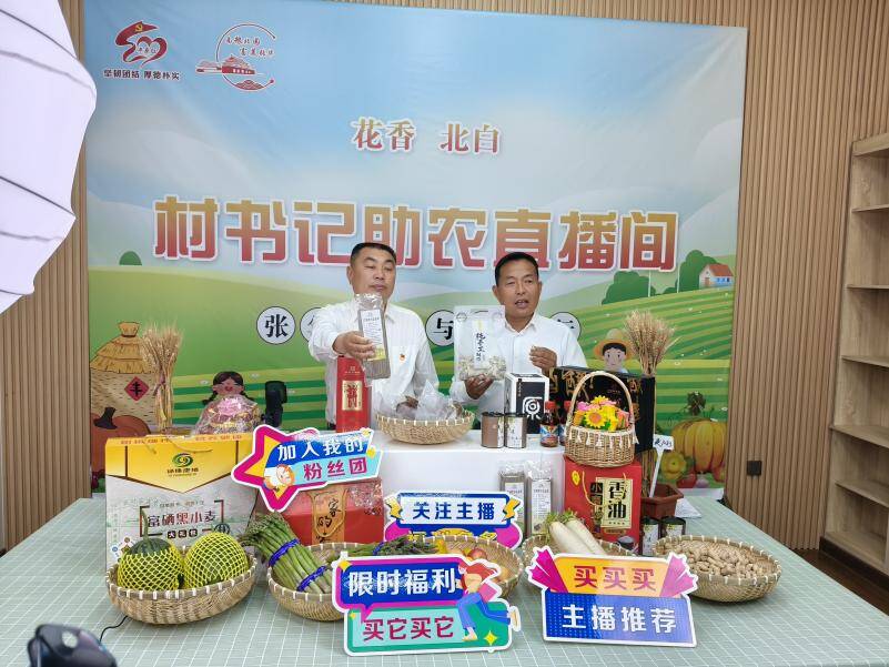 平原县：“党建体检”绘就振兴图景“三个转变”激活乡村振兴动能