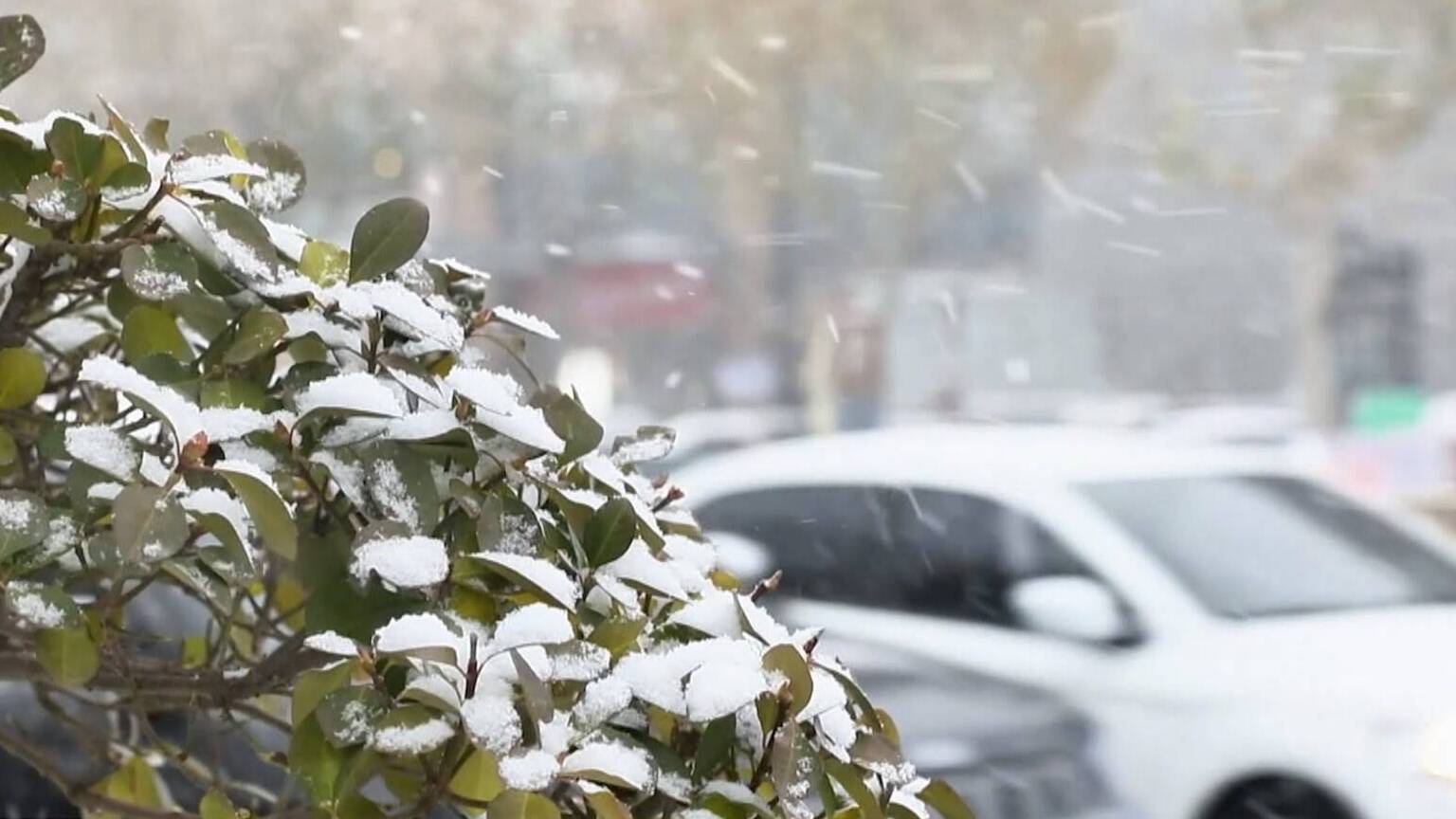 联播关键词｜山东自西向东迎来降雪