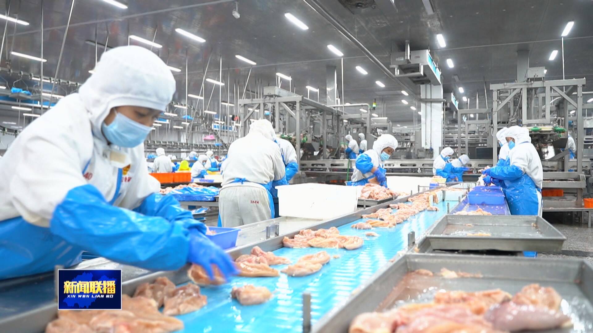 联播关键词｜首项家禽屠宰国际标准由中国制定