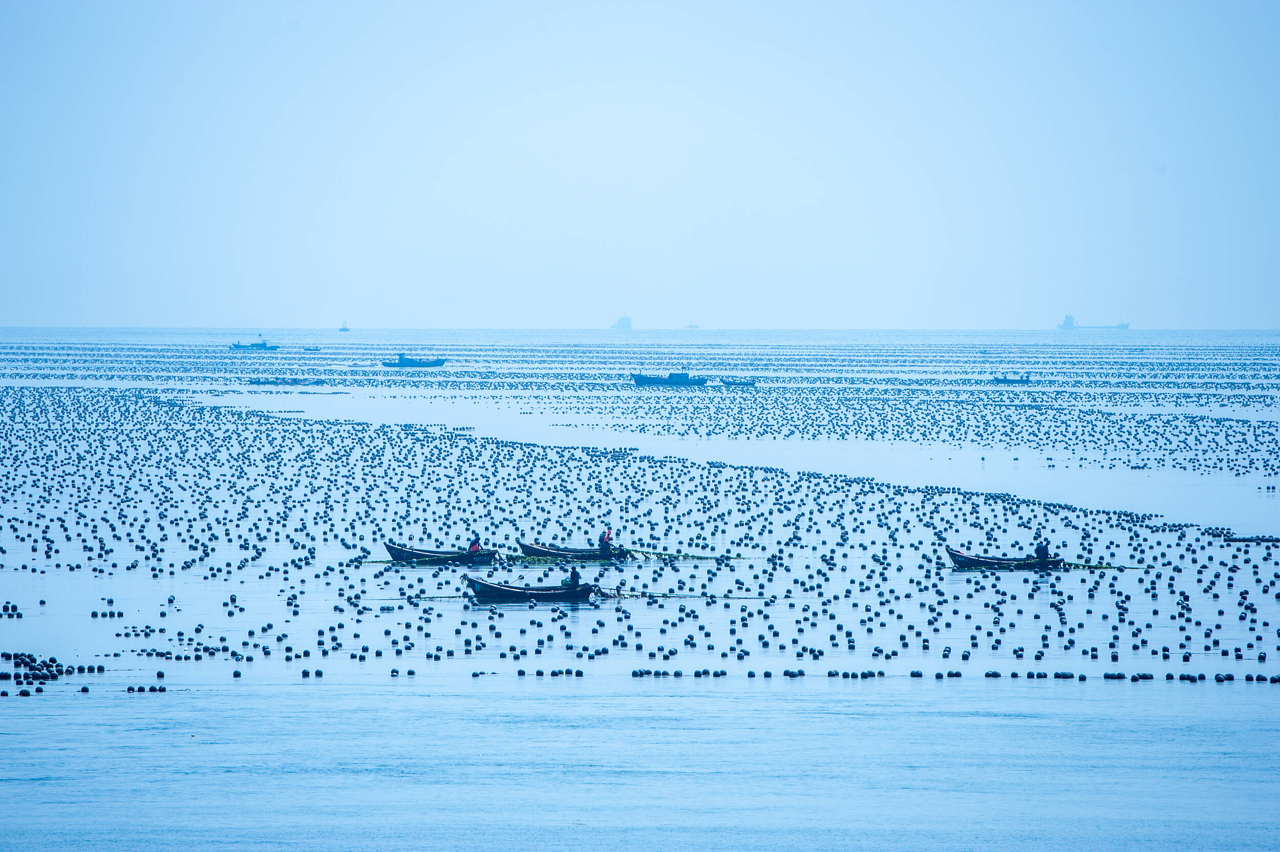 学习贯彻省委十二届十次全会精神丨“大食物观”里的渔业产业升级