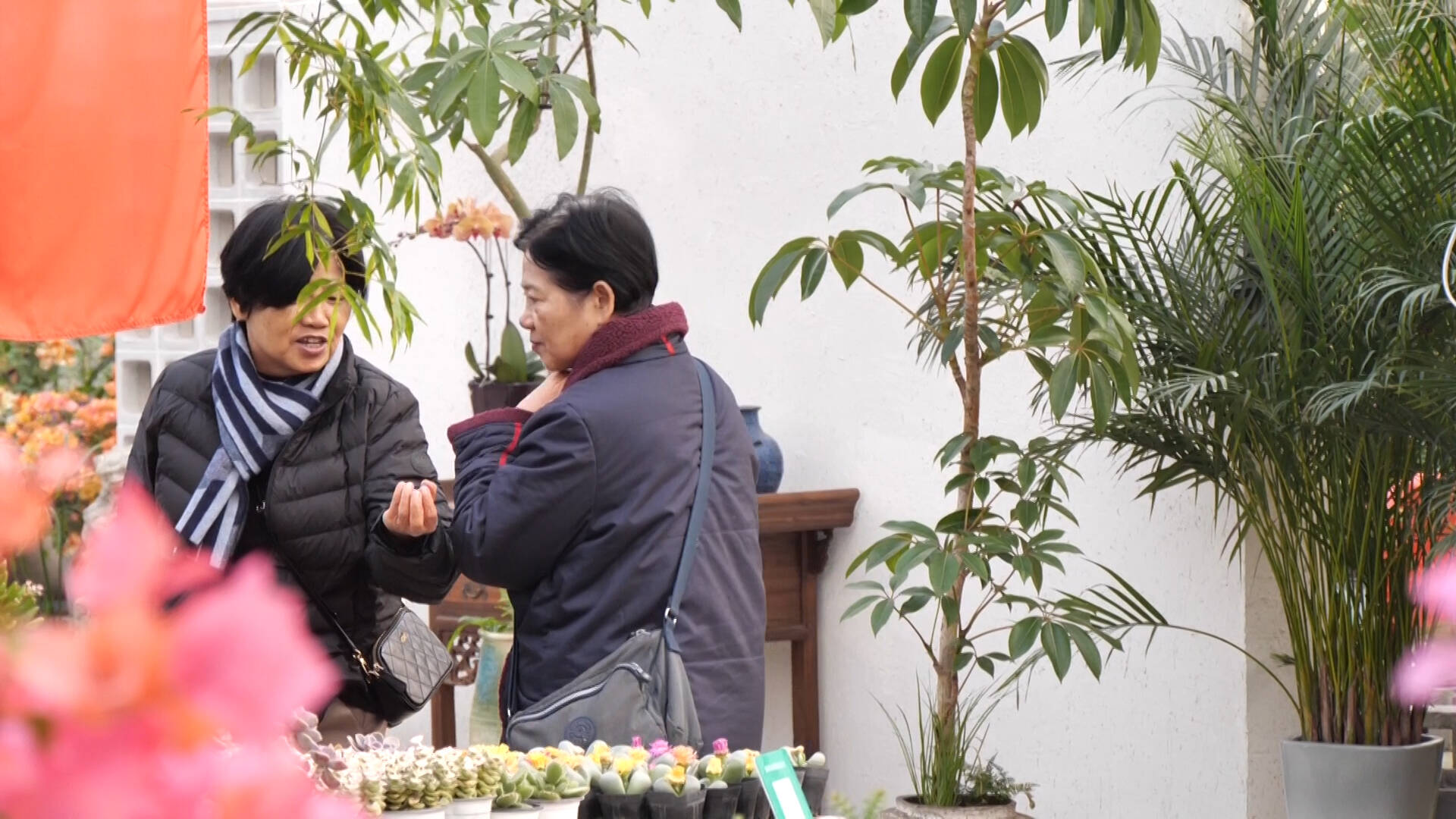 东营花市购销两旺传统花卉与定制花艺热销(图1)