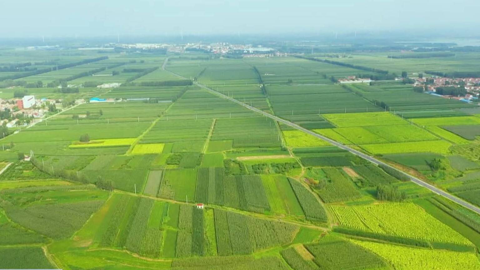 联播关键词|农业良种工程30年