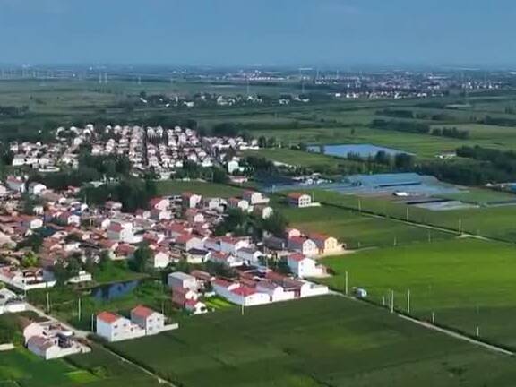 解码经济工作会热词丨片区化推进乡村振兴