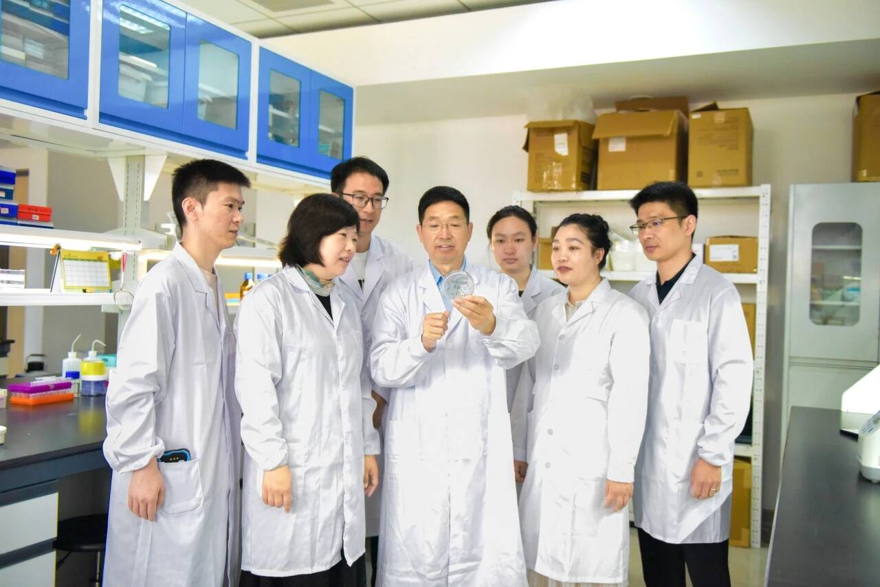 山东农大成果入选2025年国内十大科技新闻