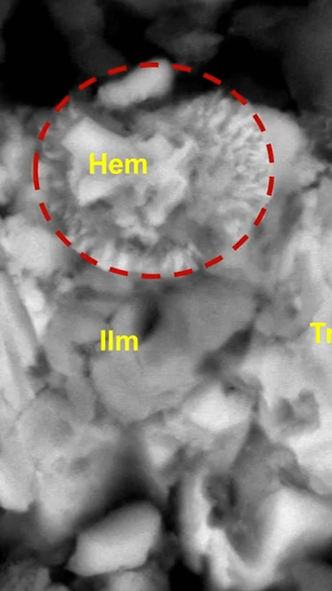 导师，我好像发现了月球不该有的东西！
