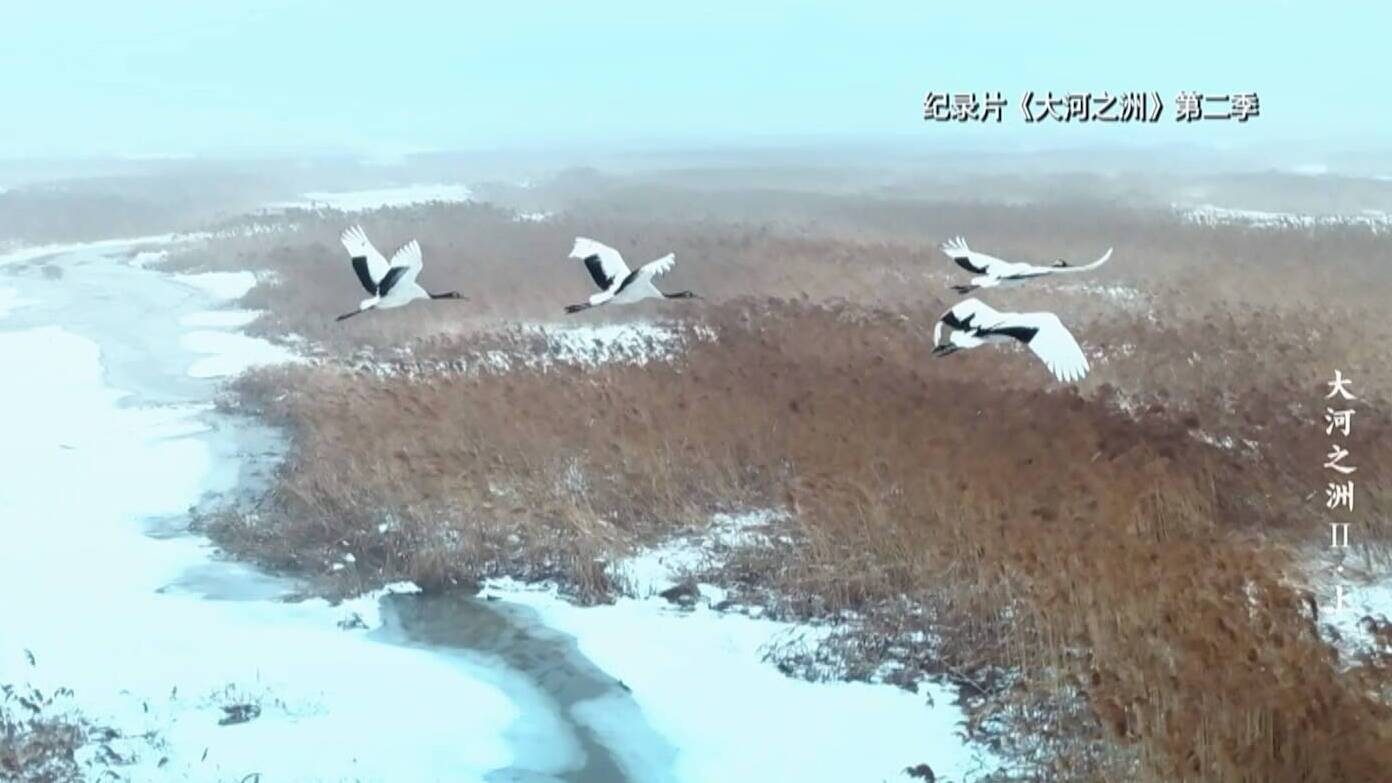 联播关键词｜一部纪录片带火一座城