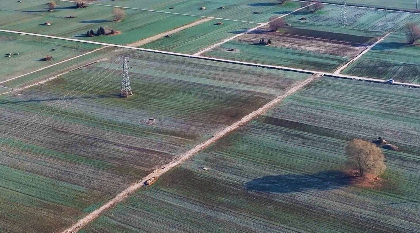 航拍枣庄冬日麦田织锦如画