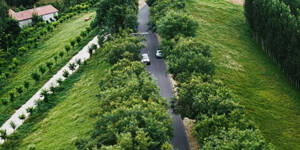 百里绿脉寻黄河