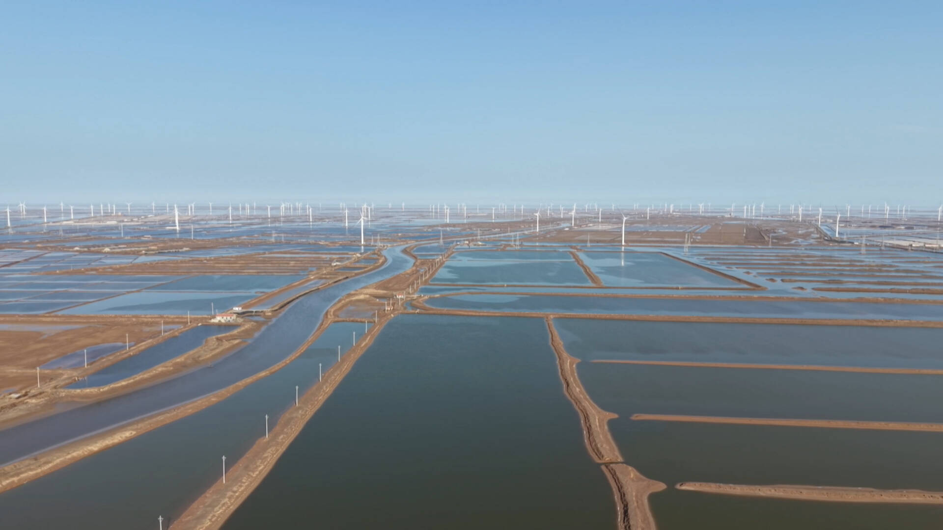 东营市河口区:冬闲海参池 “解锁” 新收益 反季节对虾养殖实现冬季供虾