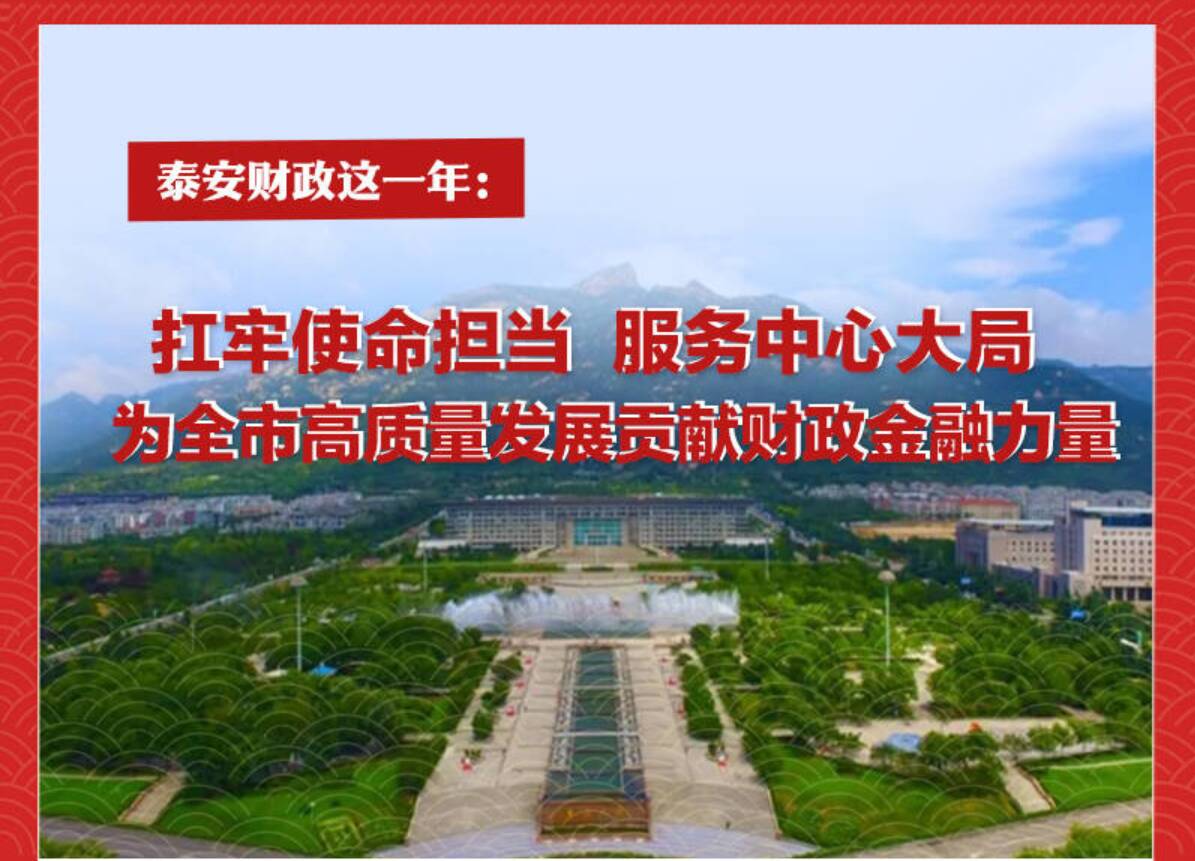 一图了解2025年泰安财政做了啥