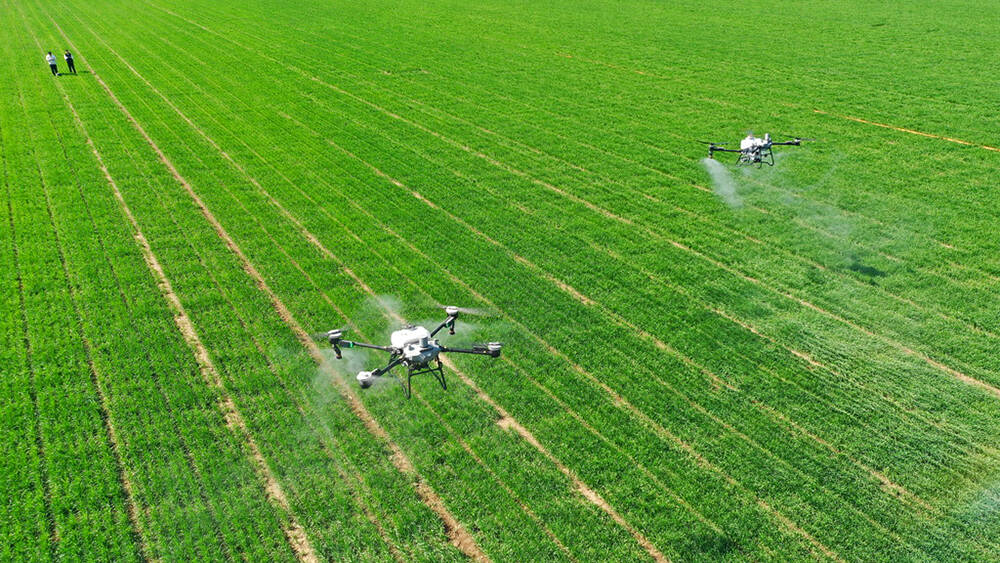 德州市“吨半粮”技术规范成为国家农业行业标准