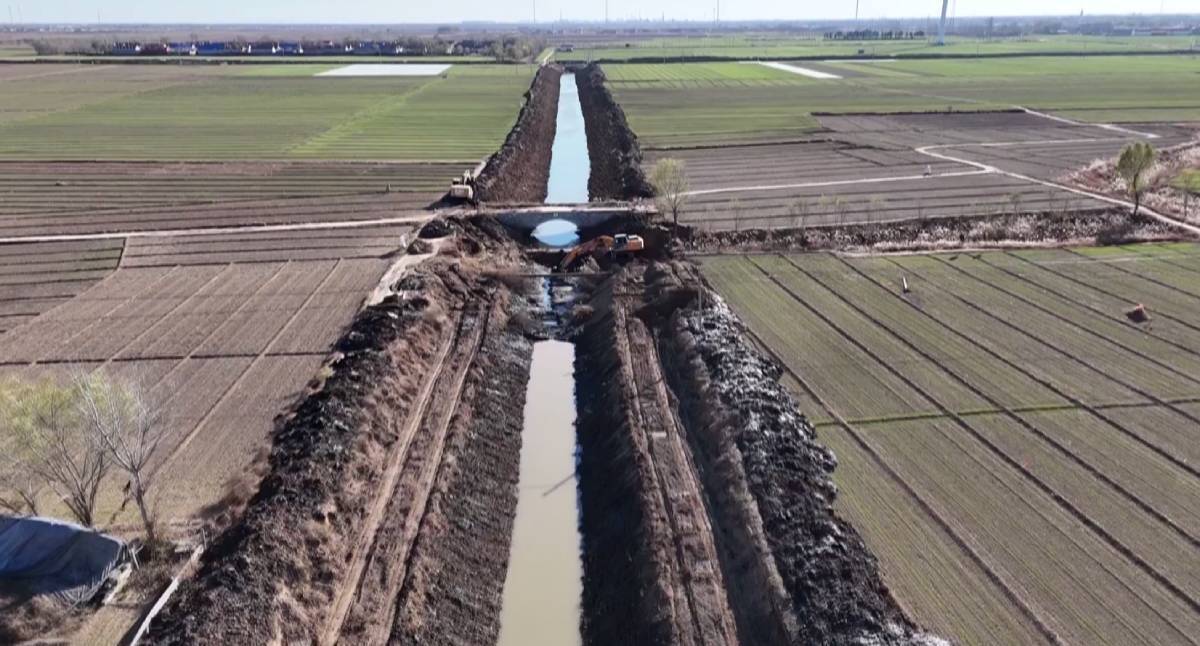 德州陵城启动农田水利建设和低洼易涝区治理 为粮食生产筑牢“安全堤”
