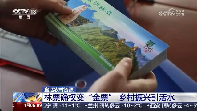 央视《朝闻天下》关注山东蒙阴  林票确权变“金票”  乡村振兴引活水