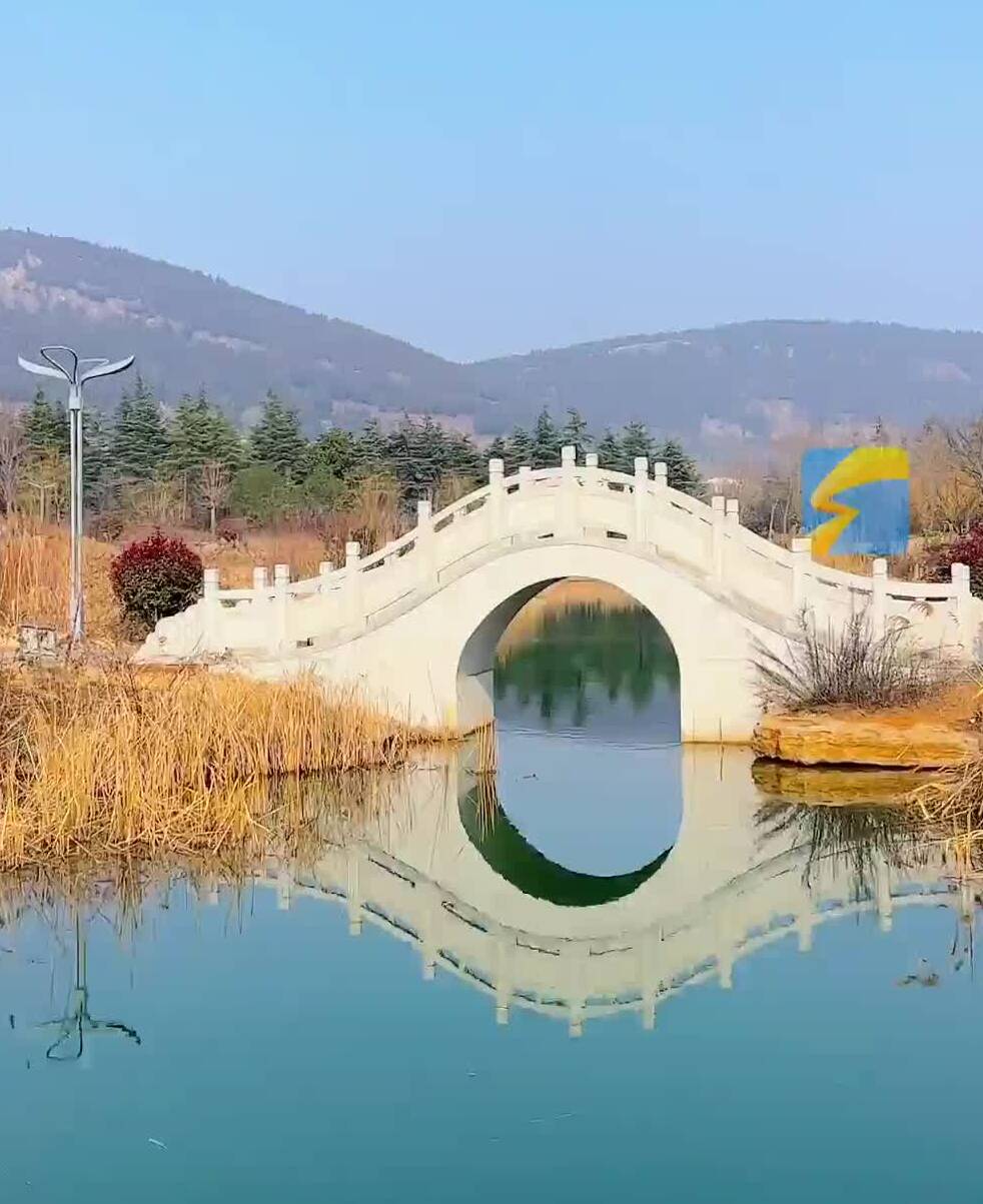 枣庄龟山公园湖亭苇影  野鸭戏寒添幽趣