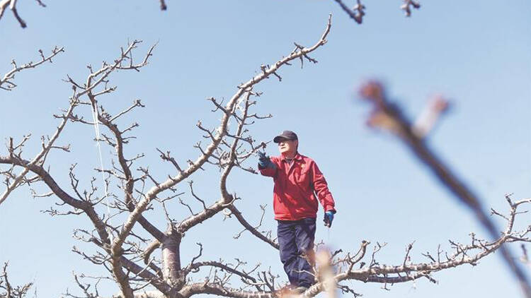 淄博:小寒时节农事忙