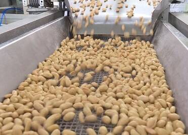 烟台市牟平区：满负荷生产抢订单 冲刺首季 “开门红”