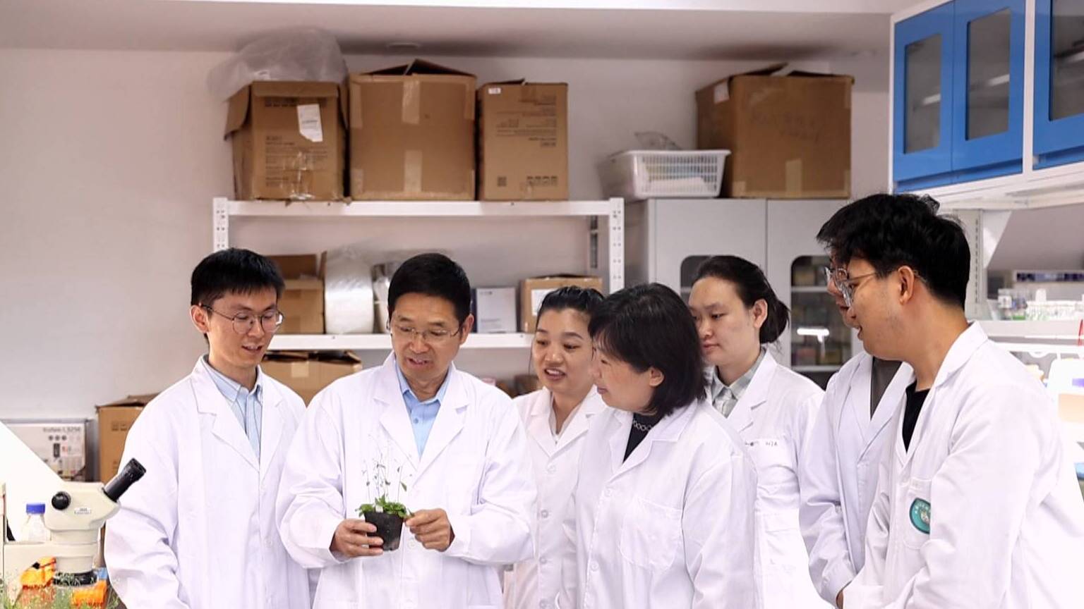 【2025回顾·新科技新产品记】山东团队破译植物“重生”密码