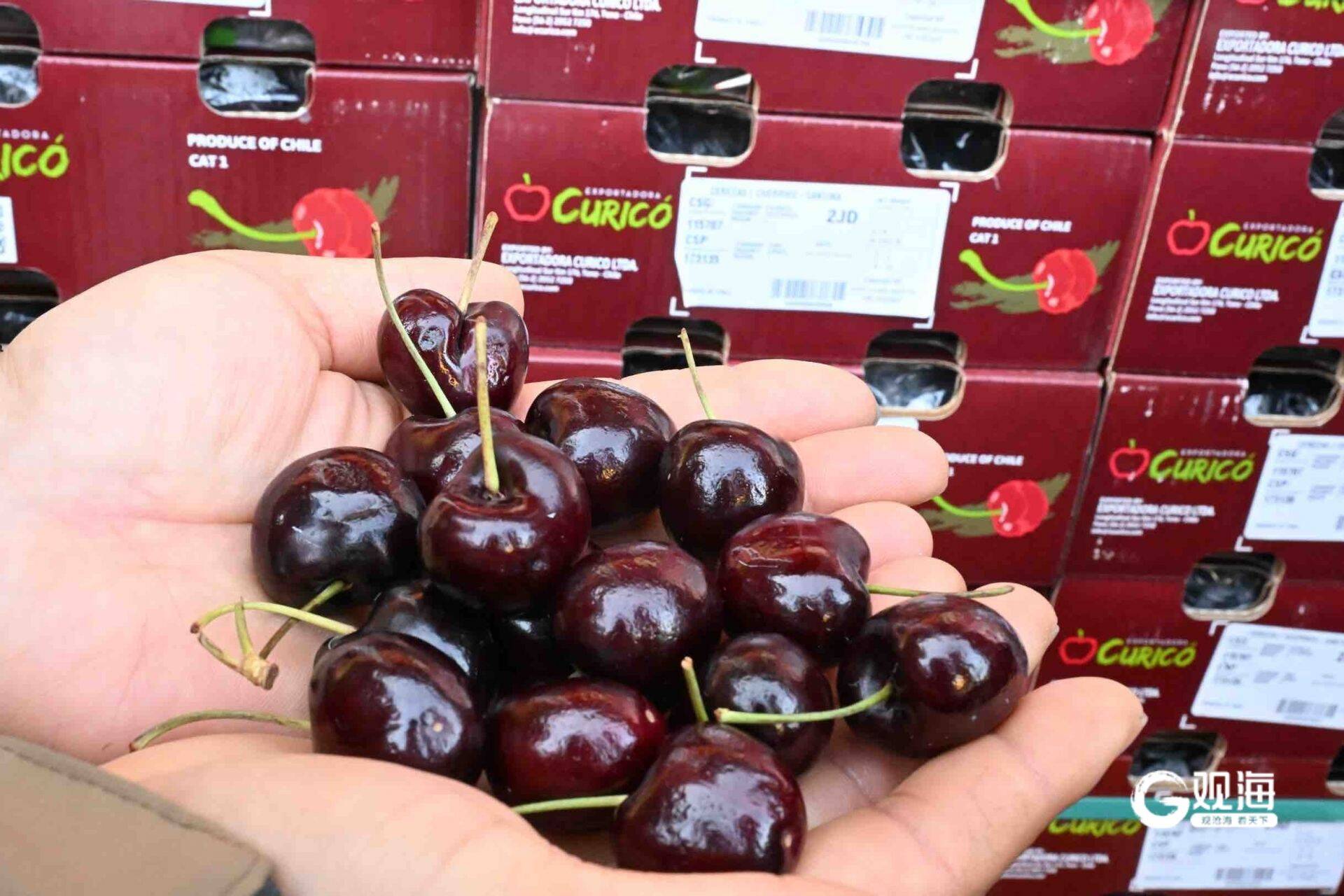 车厘子以亲民价格占据市场C位!青岛这一农副产品交易中心全年交易额超100亿元