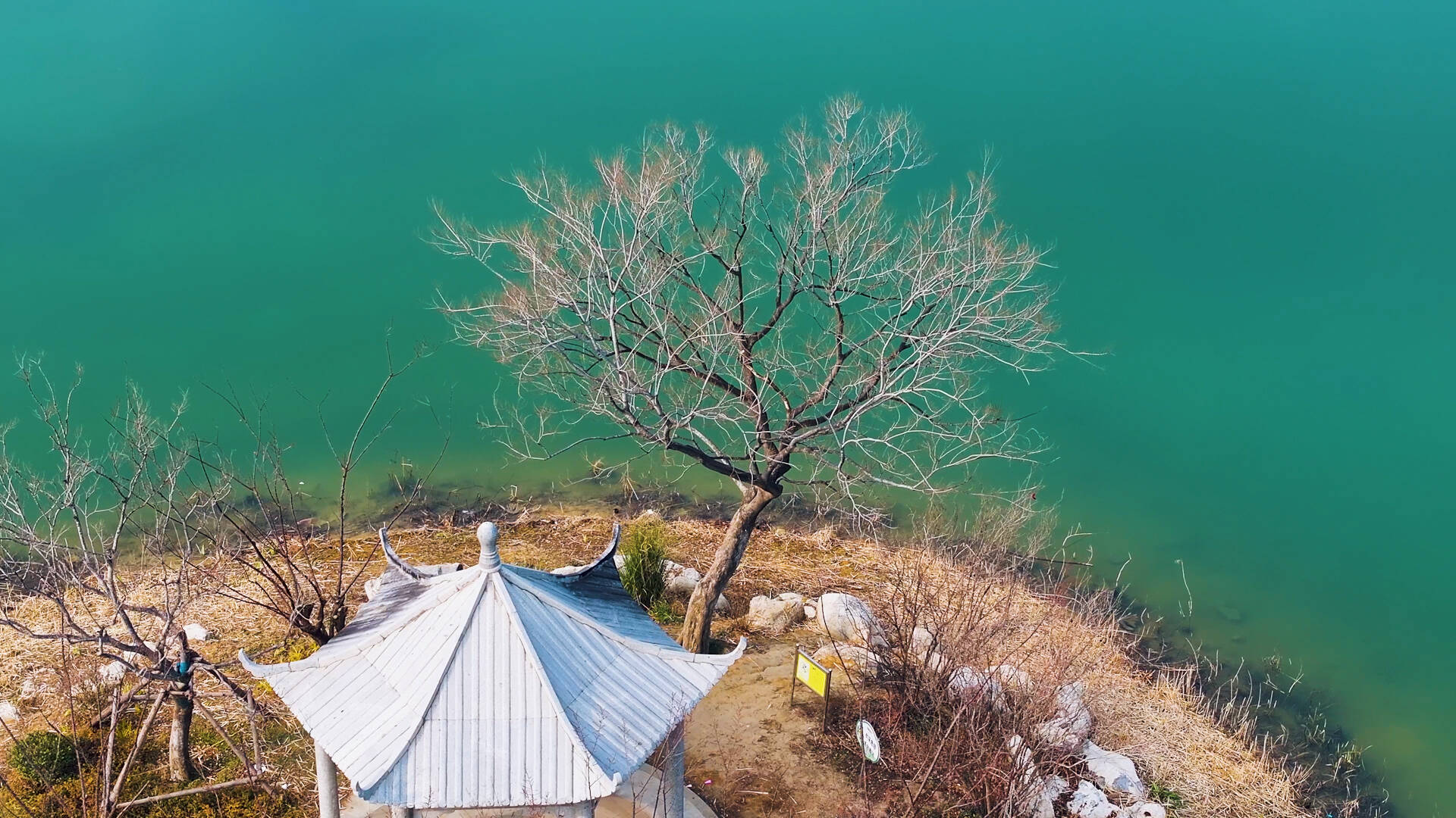 覆霜草木间 滕州北辛植物园成市民休闲游玩新去处