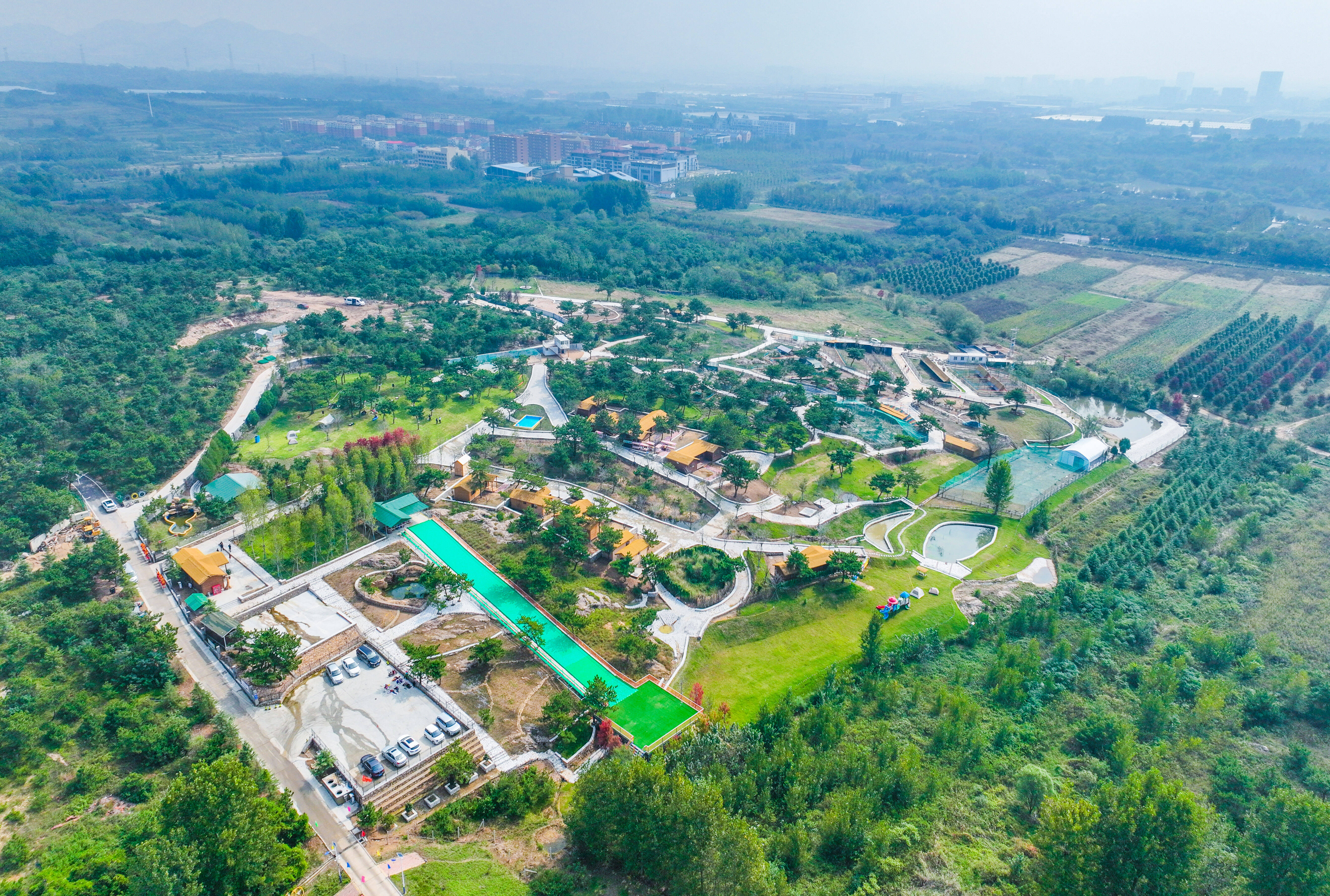 国家级荣誉！青岛西海岸新区张家楼街道画美达尼乡村振兴片区成功入选全国乡村振兴典型案例