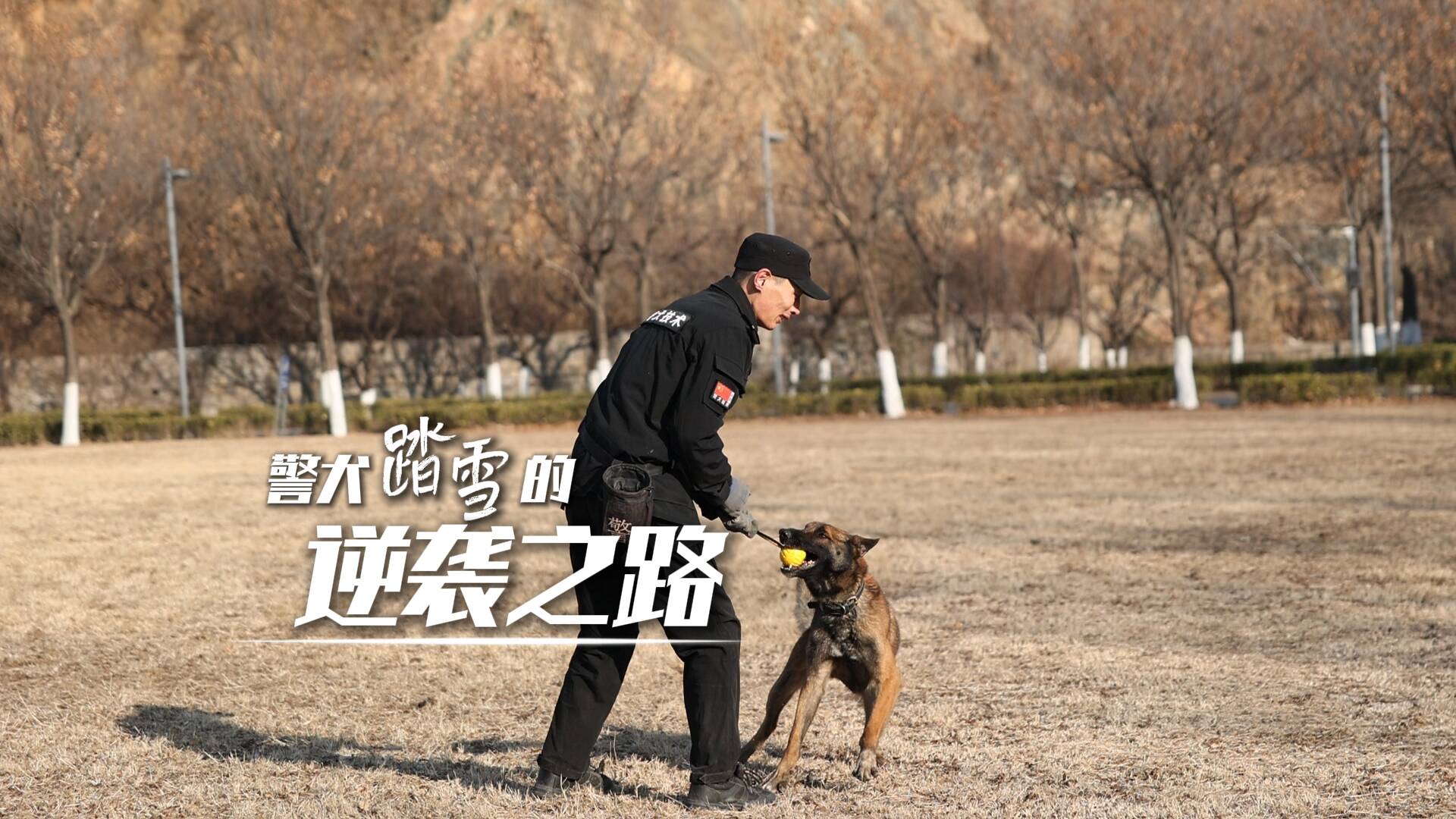 警犬“踏雪”的逆袭之路