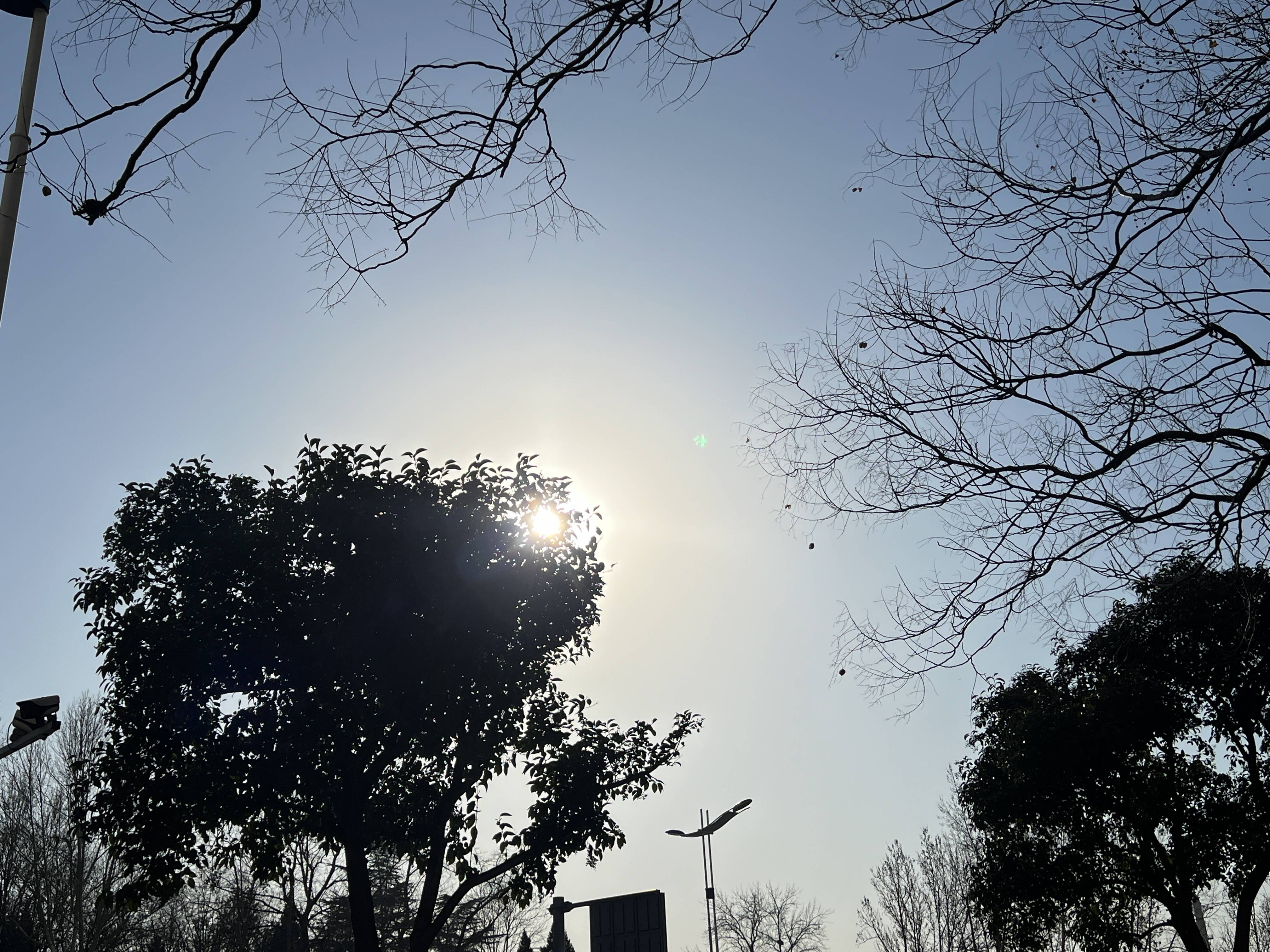 山东未来三天天气晴间多云 鲁中山区、半岛地区森林火险气象等级较高
