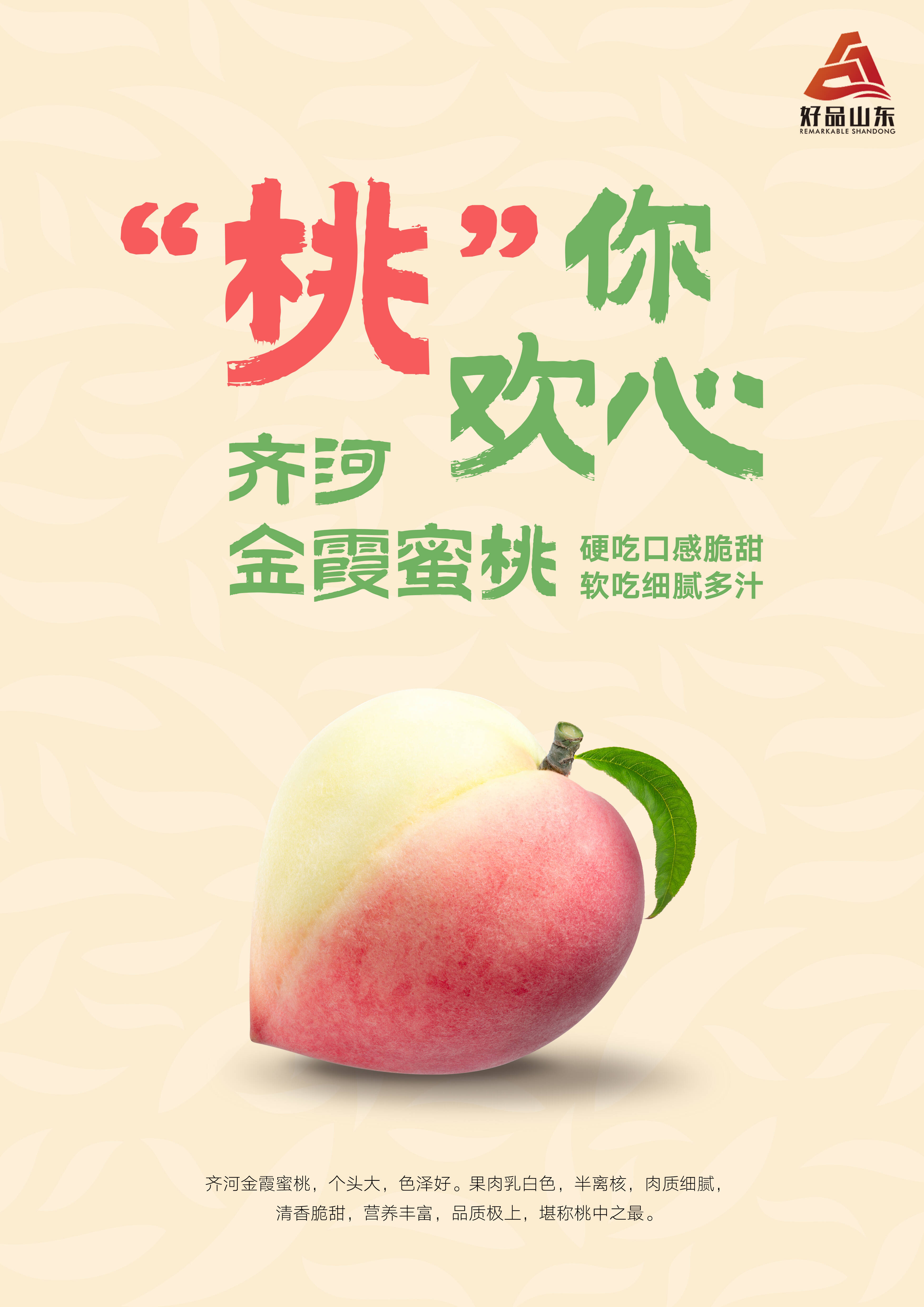 影视广告行业的成都力量