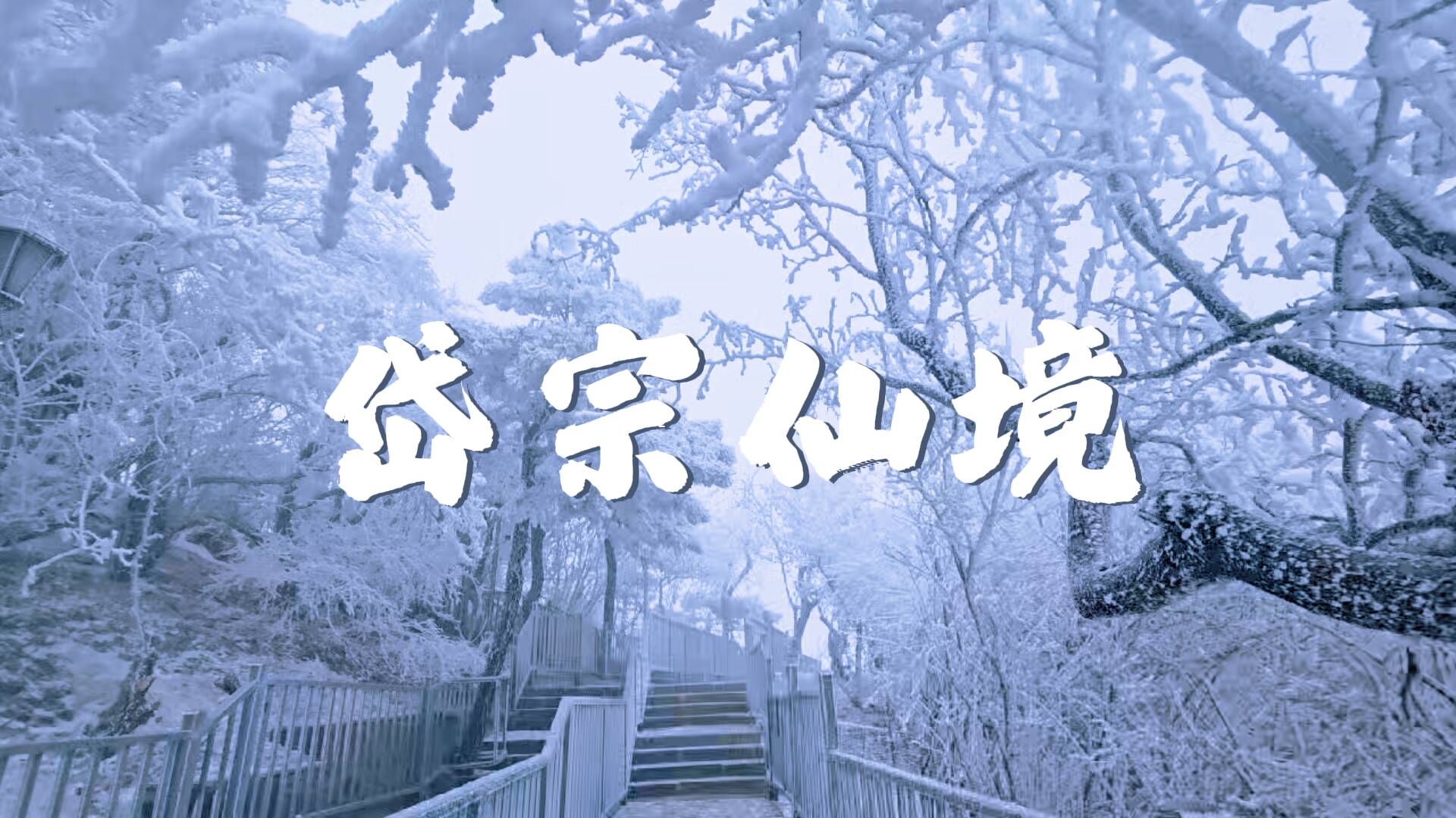 泰山雾凇、雨凇奇观再现！琼枝玉树 共赴一场岱宗仙境