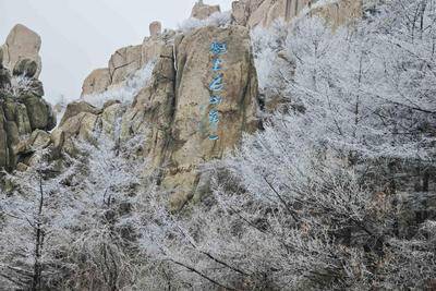 除巨峰游览区暂停开放外，崂山风景区其他游览区（含二龙山景区）恢复开放