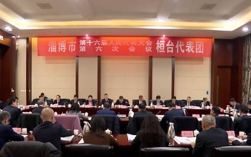 孙庆雷参加淄博市十六届人大六次会议桓台代表团审议
