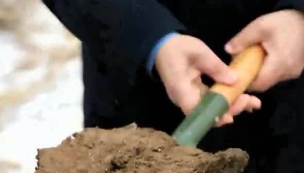 代表委员履职故事｜诸葛玉平：探寻盐碱地降盐增产密码