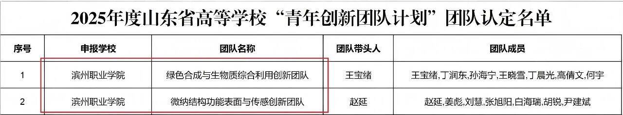 实现“零的突破”，滨州职业学院两个团队入选青年创新团队！