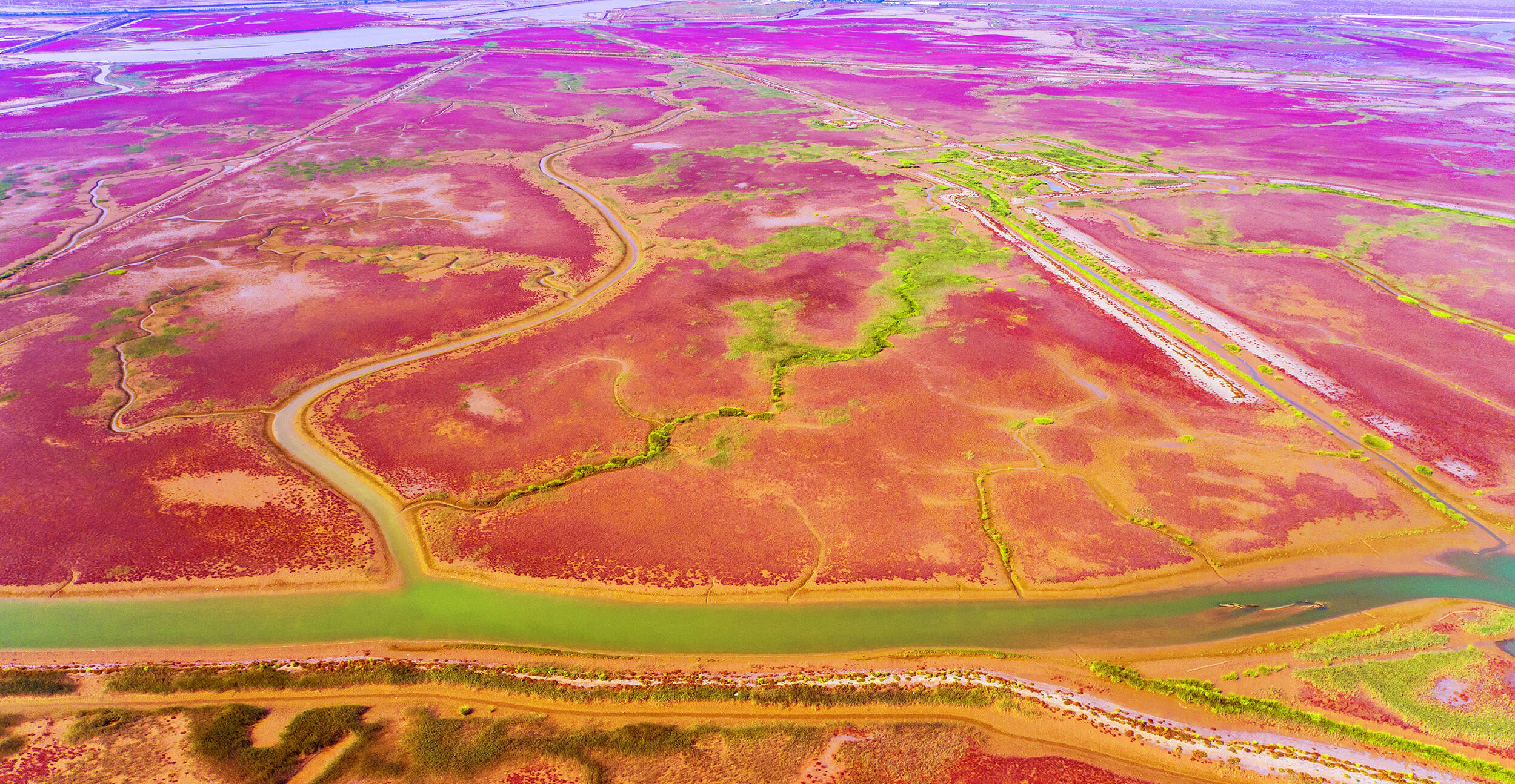 图说东营丨一幅等待你归来的全景画