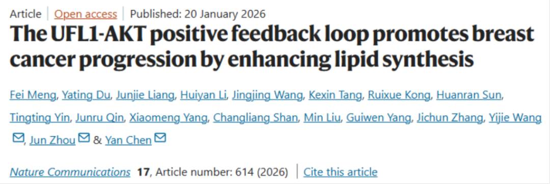 揭示抗肿瘤新策略 山东师范大学科研团队发表重要成果