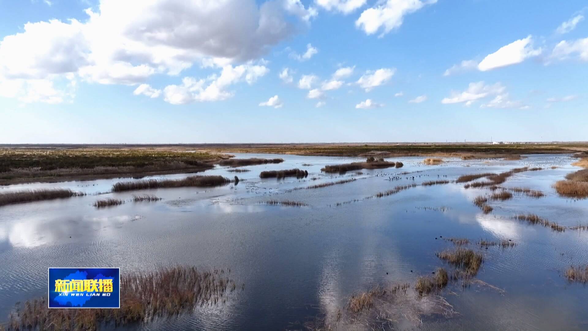 联播关键词｜凝聚共识开新局 共同奋斗汇合力