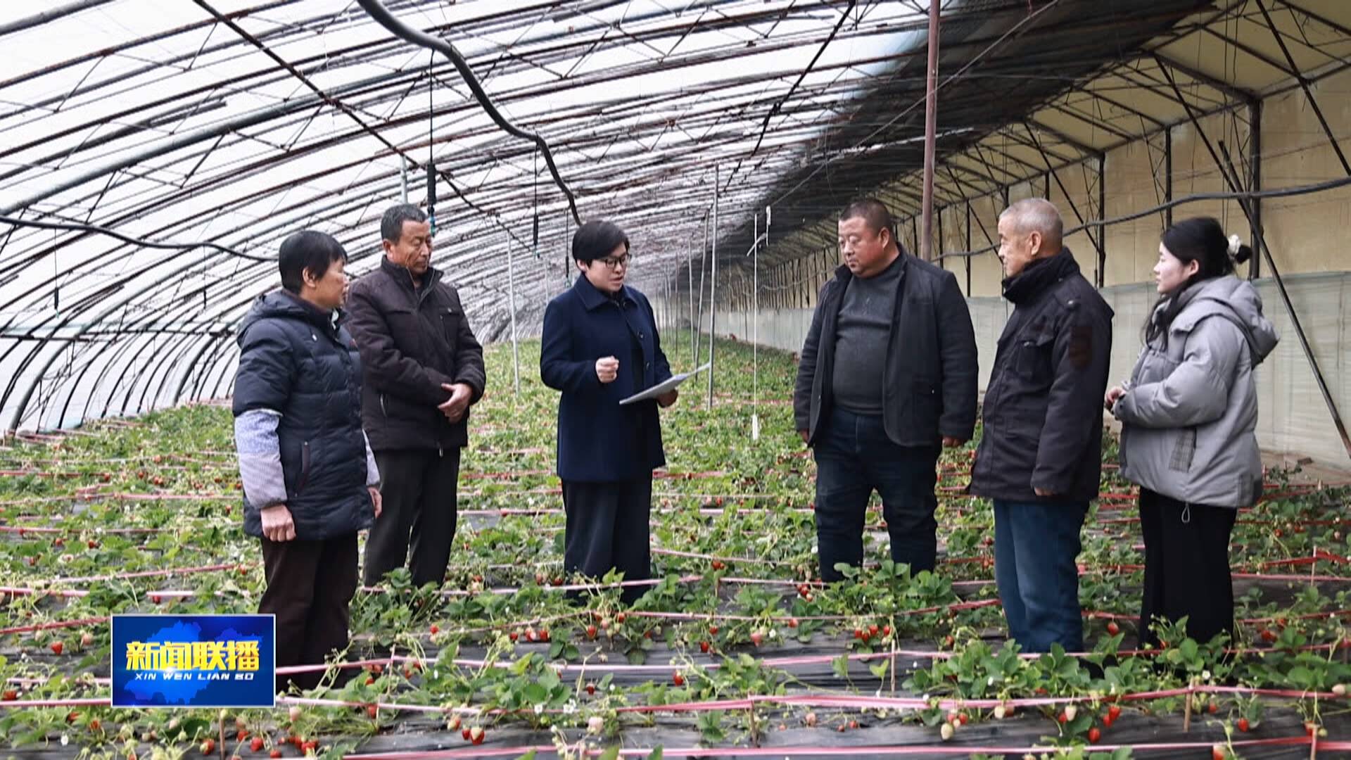 联播关键词｜宣讲两会精神 履职尽责谋发展