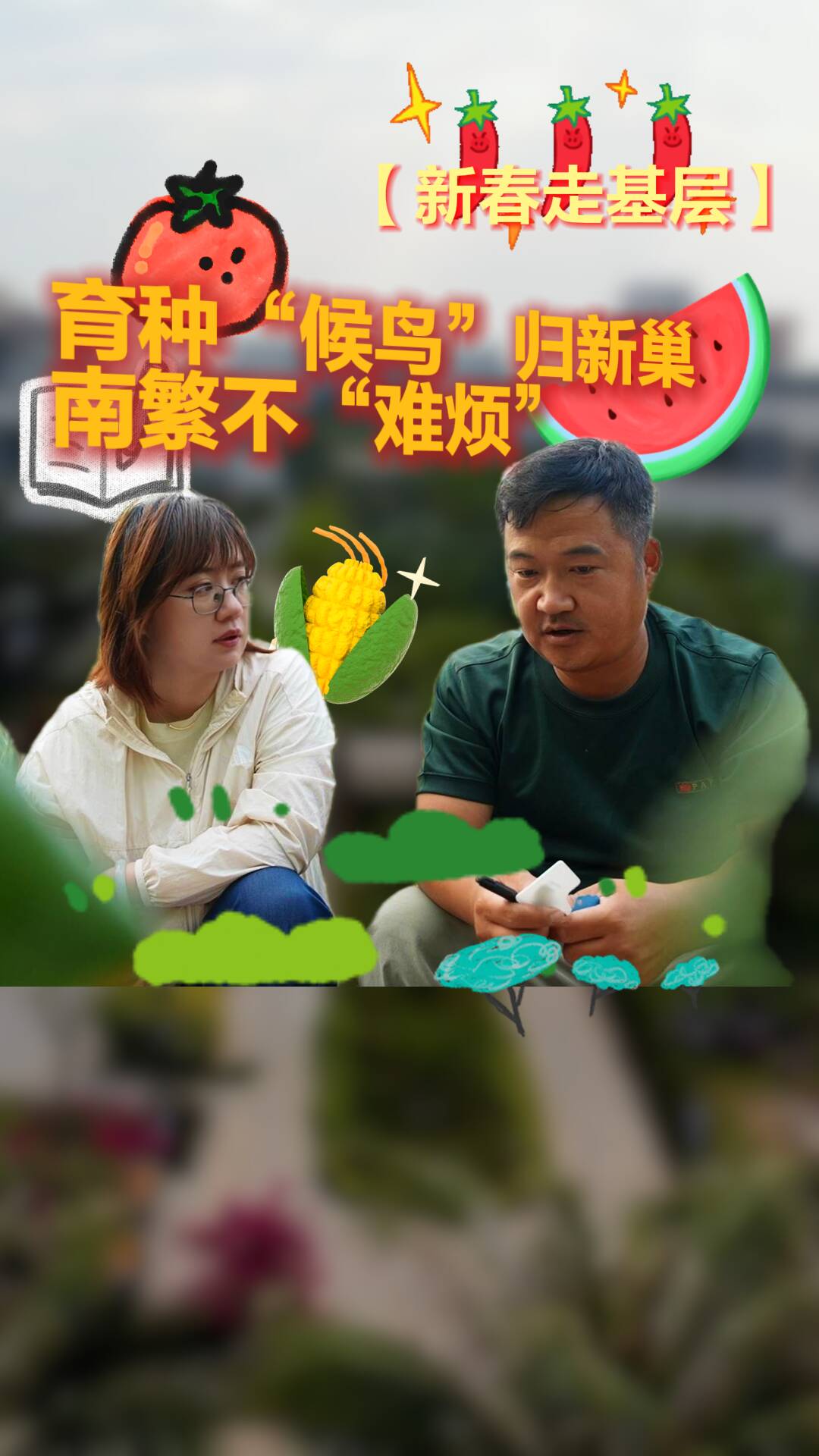 新春走基层｜育种“候鸟”归新巢 南繁不“难烦”