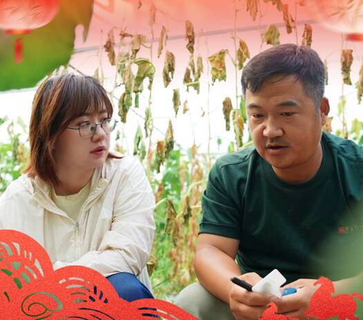 新春走基层丨“追着太阳跑”的育种人住进了“南繁之家”
