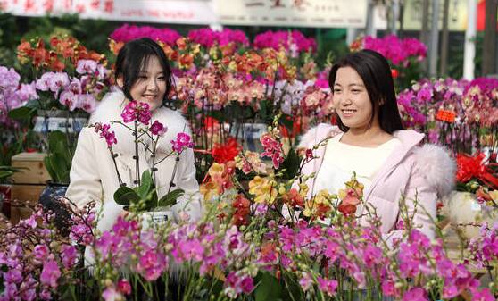 “十四五”期间 东营市外贸年均增长10.3%