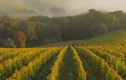 微视频｜让农民挑上“金扁担”