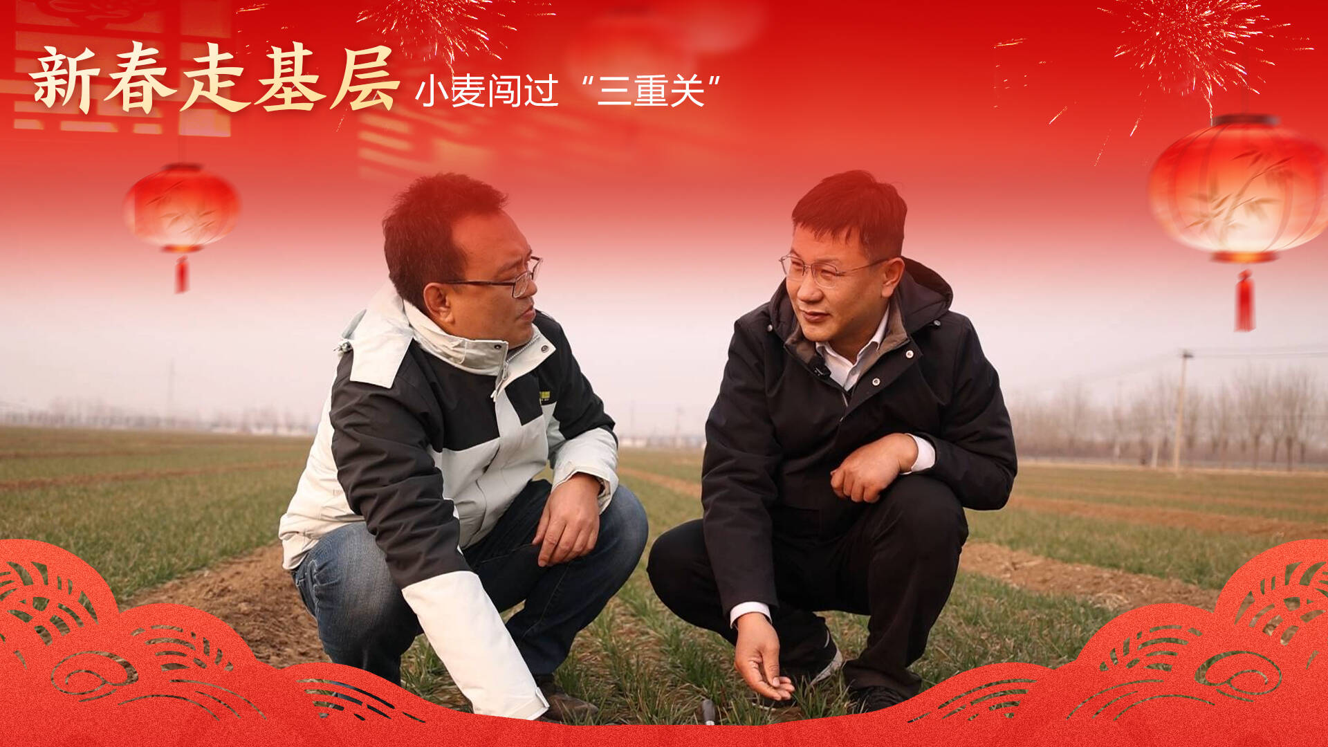 新春走基层｜小麦闯过“三重关”