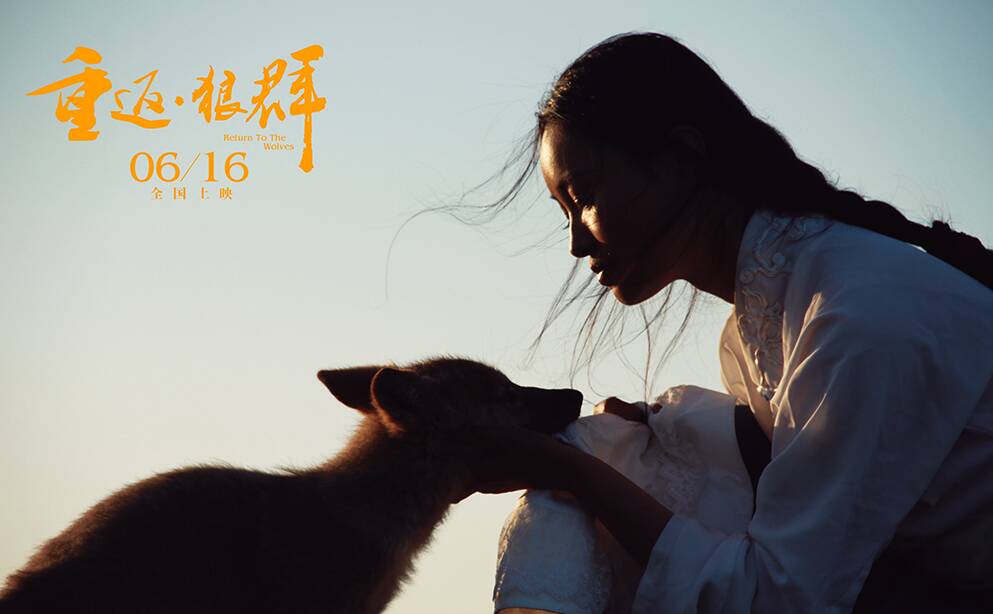 闪电评论丨《重返狼群》为何刷屏？算法年代给真诚以回声