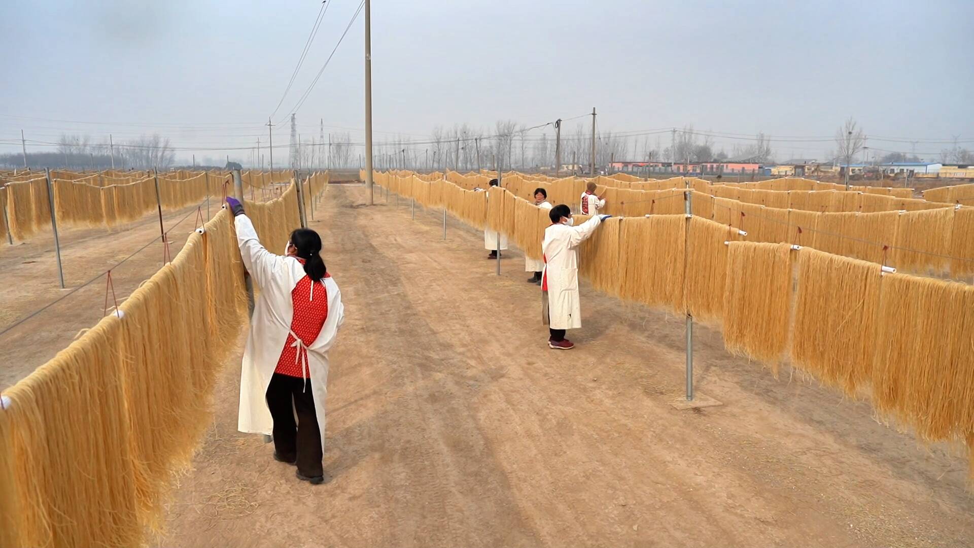 “百年”粉条节前热销！阳谷“粉条村”腾起浓浓烟火气