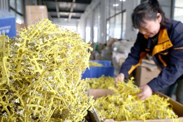 阳信县：电子器件生产忙